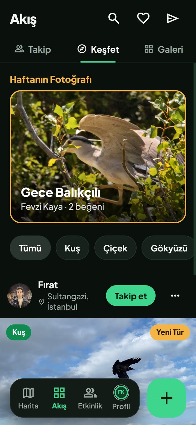 Doğa Haritası uygulaması: Akış ekranı