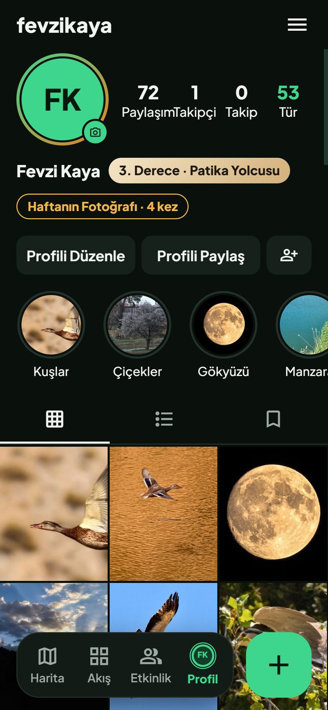 Doğa Haritası uygulaması: Profil ekranı